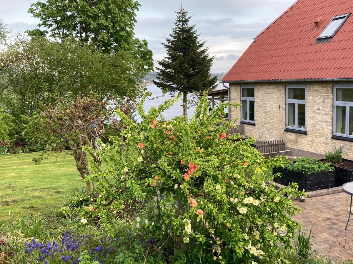 Bogebjerggard Bed & Breakfast Sønderborg Zewnętrze zdjęcie