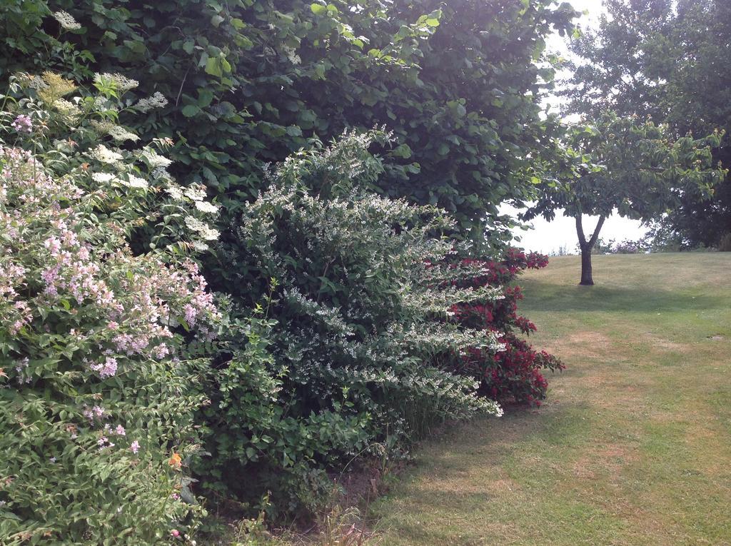 Bogebjerggard Bed & Breakfast Sønderborg Zewnętrze zdjęcie