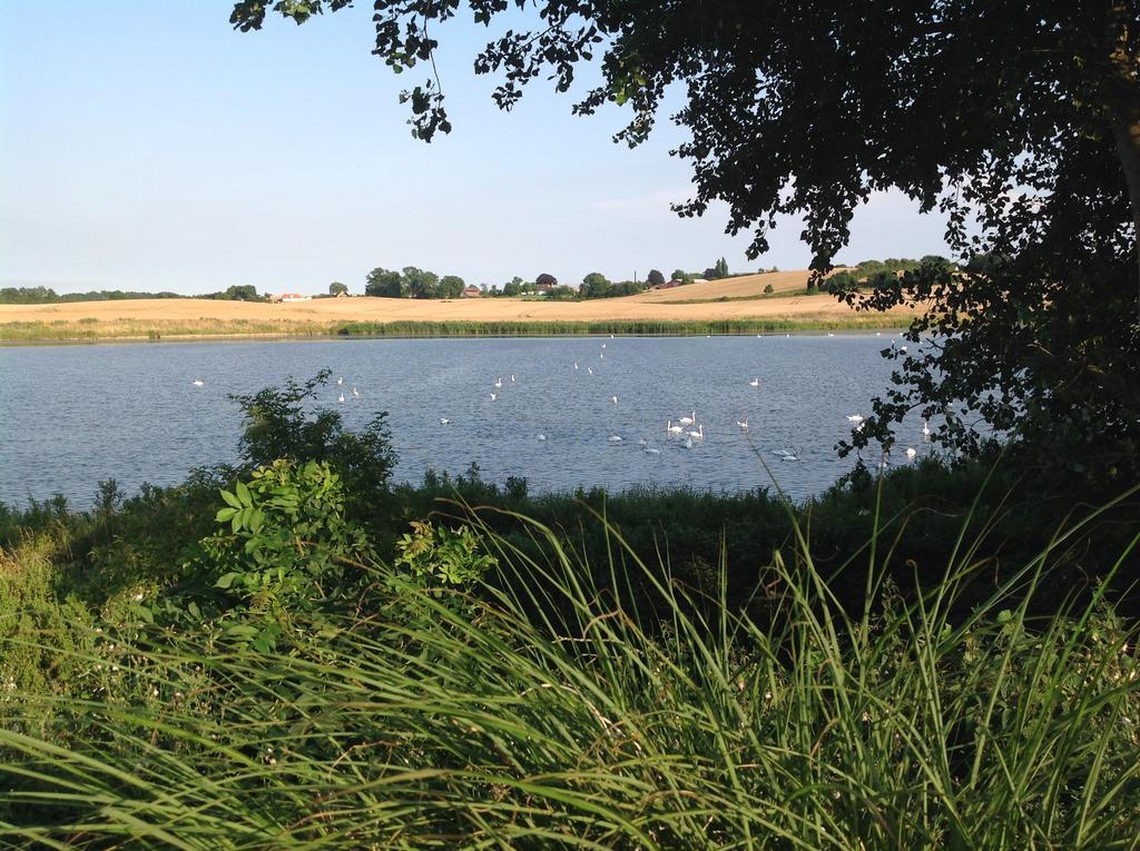 Bogebjerggard Bed & Breakfast Sønderborg Zewnętrze zdjęcie