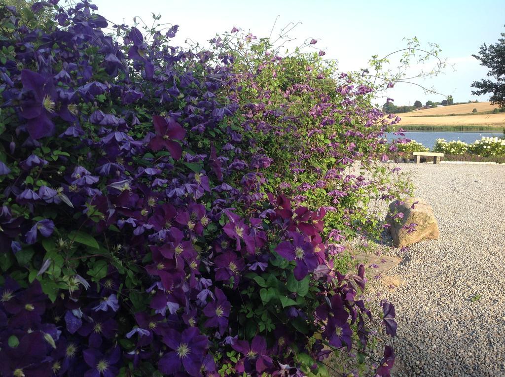 Bogebjerggard Bed & Breakfast Sønderborg Zewnętrze zdjęcie