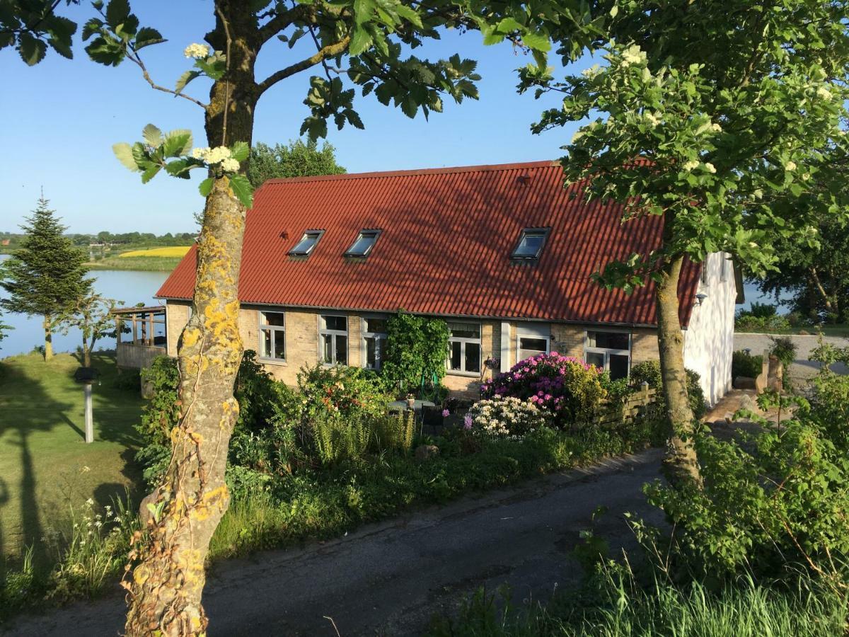 Bogebjerggard Bed & Breakfast Sønderborg Zewnętrze zdjęcie