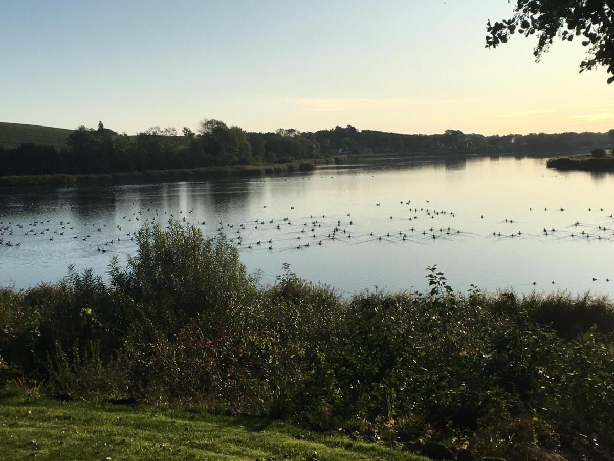 Bogebjerggard Bed & Breakfast Sønderborg Zewnętrze zdjęcie